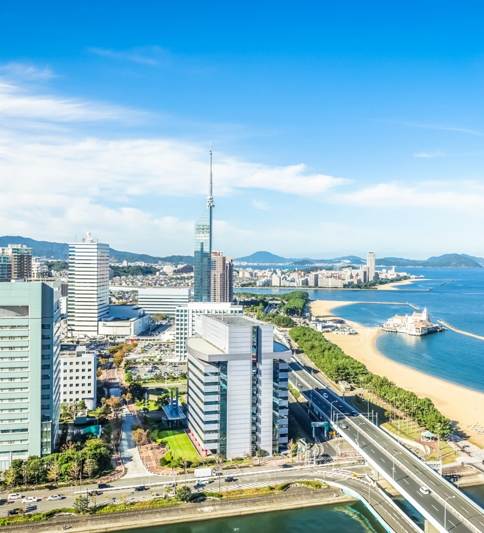 企業概要